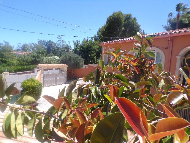 Spacious Reformed Villa On The Montgo, Denia